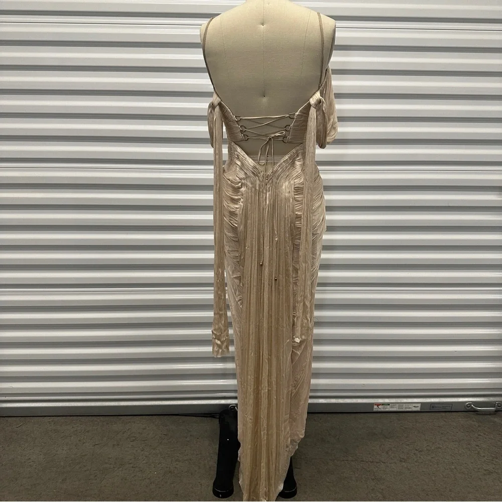 Maria Lucia Hohan Camilla Metallic Silk Bustier Gown $3,730 - Picture 9 of 10